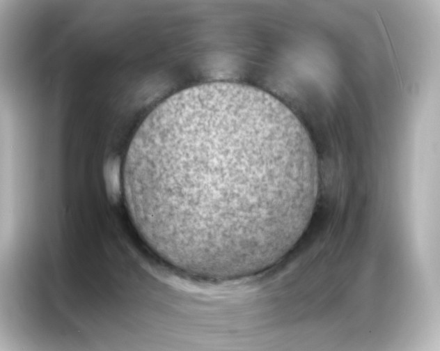 X0000087000028200704301407