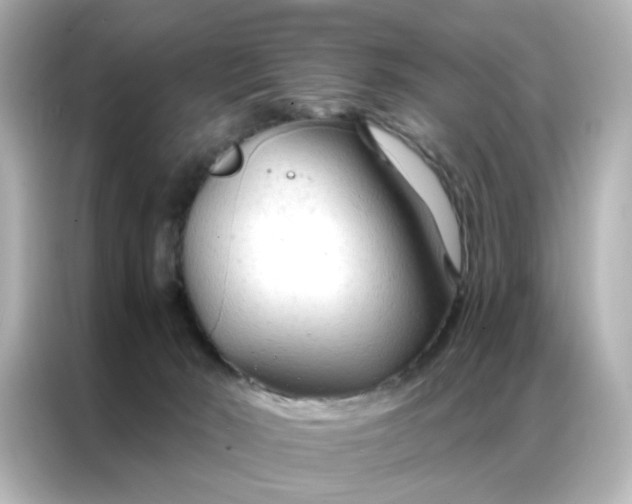 X0000087000030200704301406