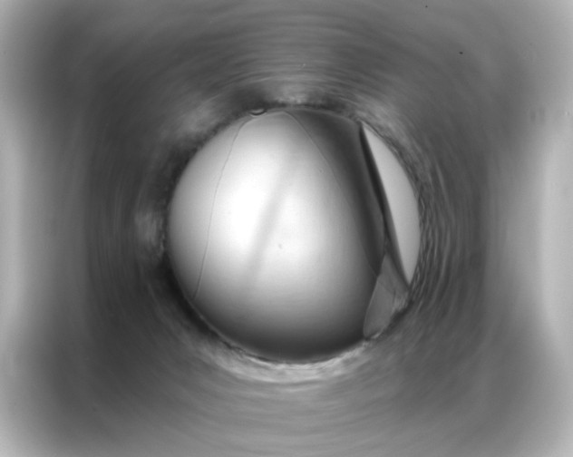 X0000087000031200704301406