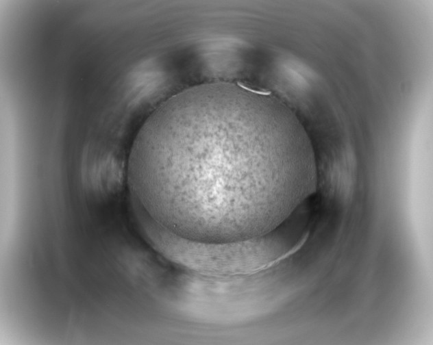 X0000087000033200704301406