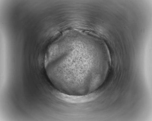 X0000087000034200704301406