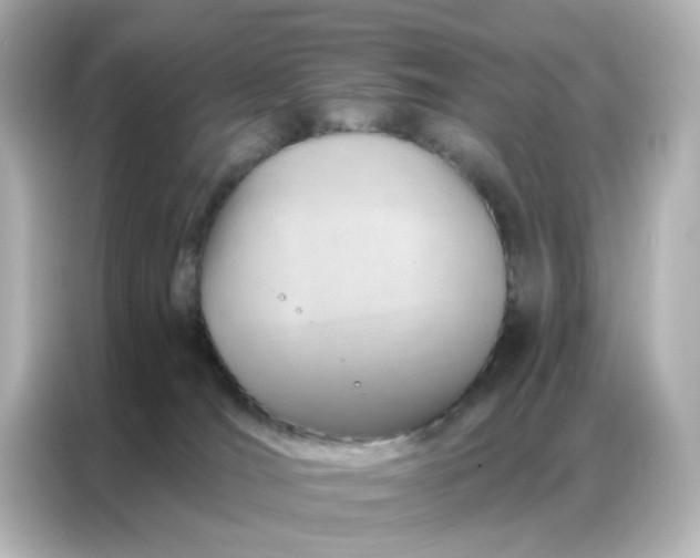 X0000087000036200704301406