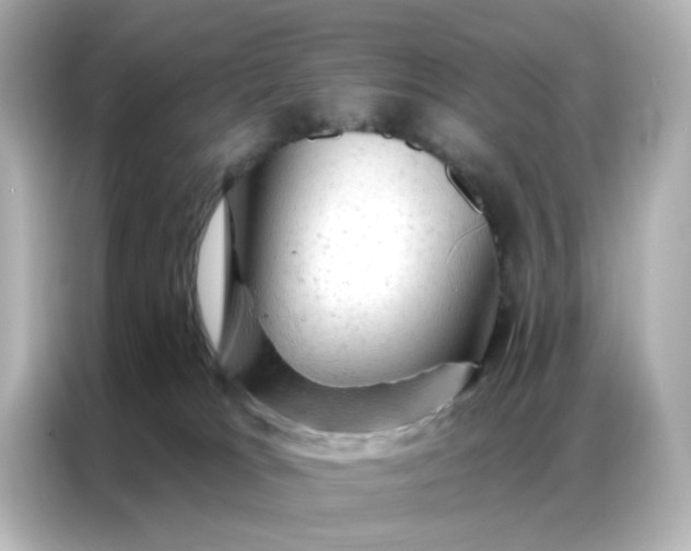 X0000087000037200704301406