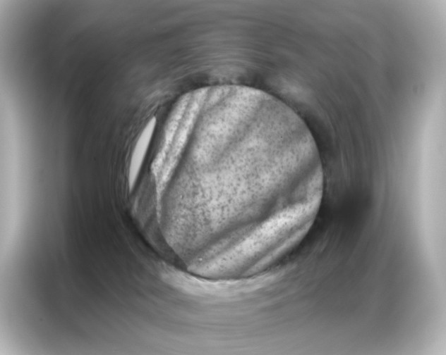 X0000087000038200704301406