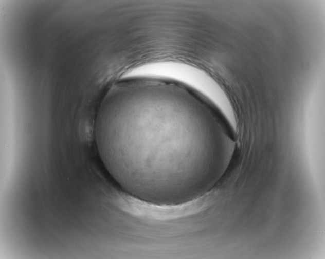 X0000087000039200704301406