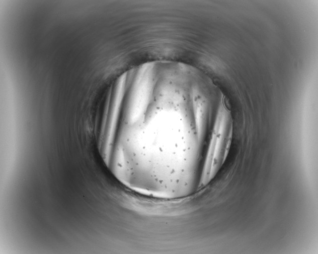 X0000087000040200704301406