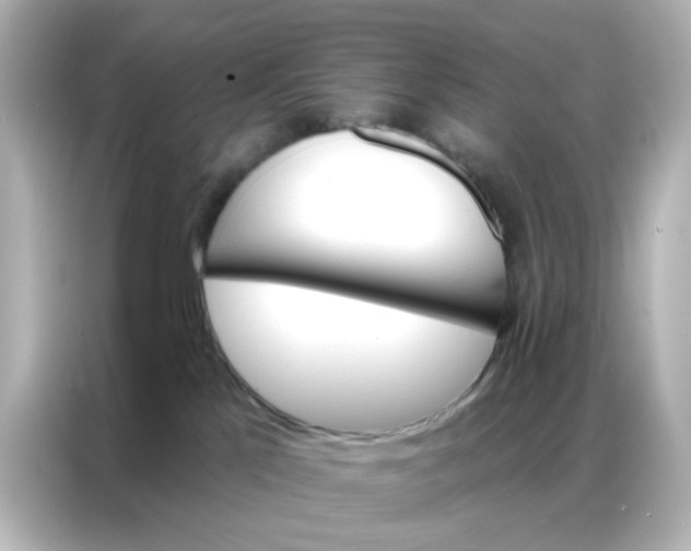 X0000087000041200704301406