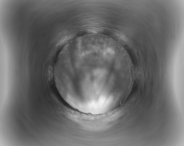 X0000087000043200704301406