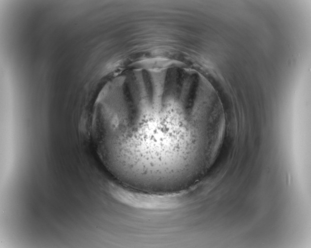 X0000087000044200704301406