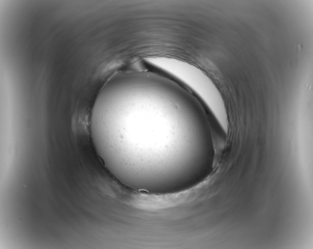 X0000087000045200704301406