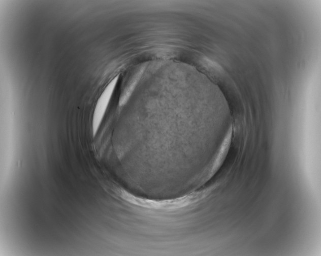 X0000087000046200704301406