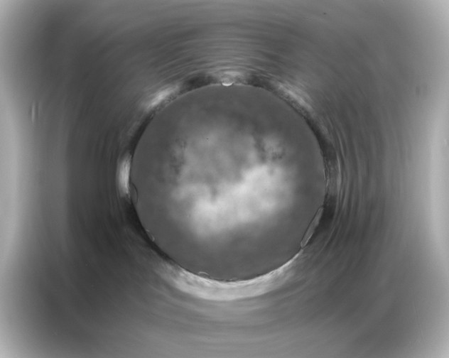 X0000087000047200704301406