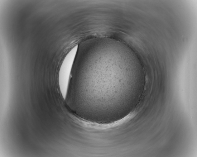 X0000087000048200704301406