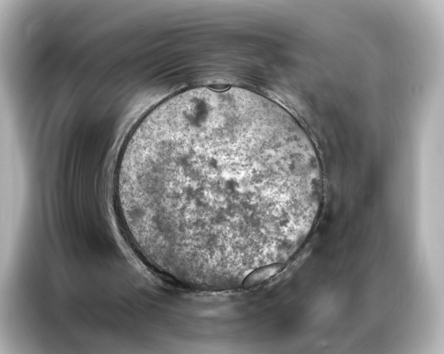 X0000087000049200704301406