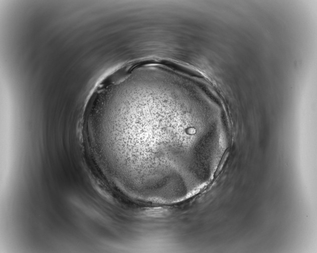 X0000087000050200704301406