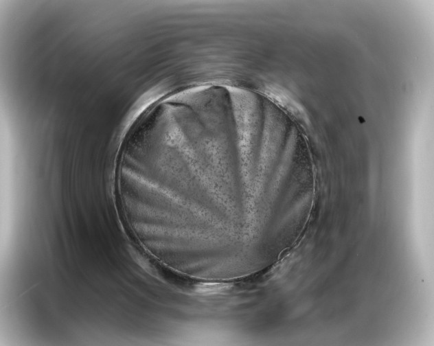 X0000087000051200704301406