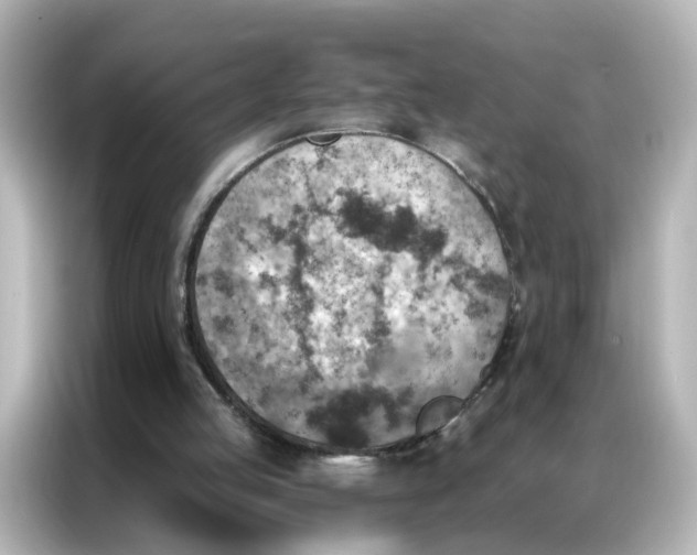 X0000087000053200704301406