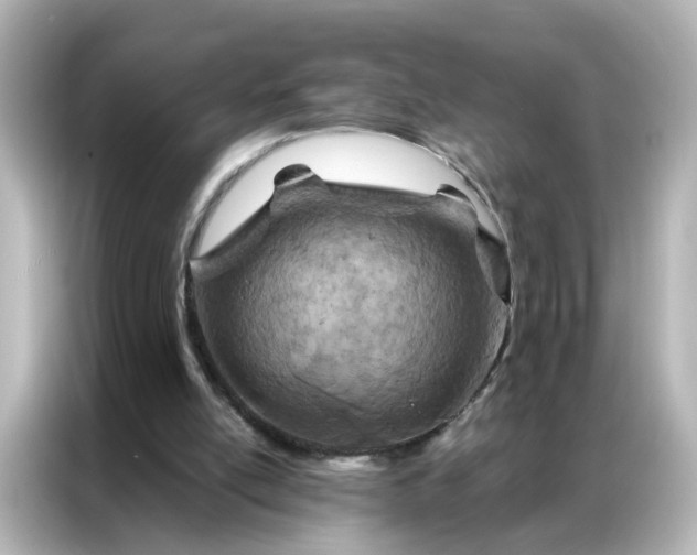 X0000087000054200704301406