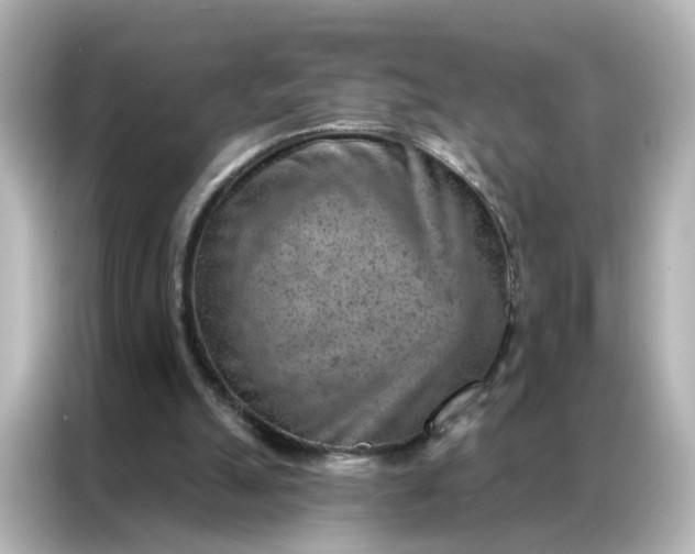 X0000087000055200704301406