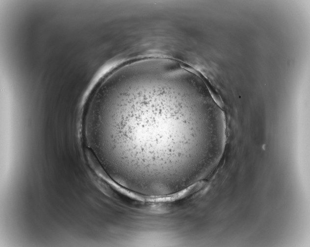 X0000087000056200704301406