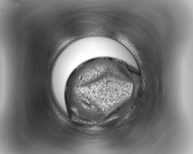 X0000087000058200704301406