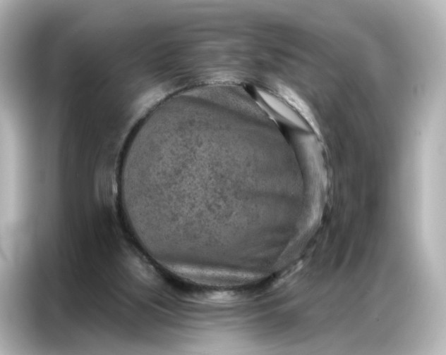 X0000087000059200704301406