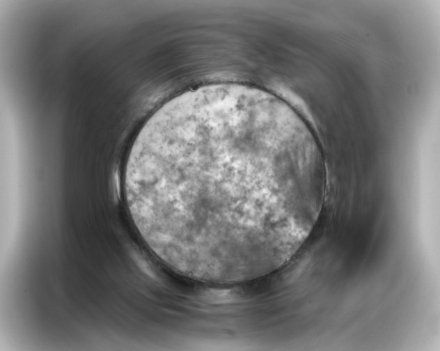 X0000087000061200704301406