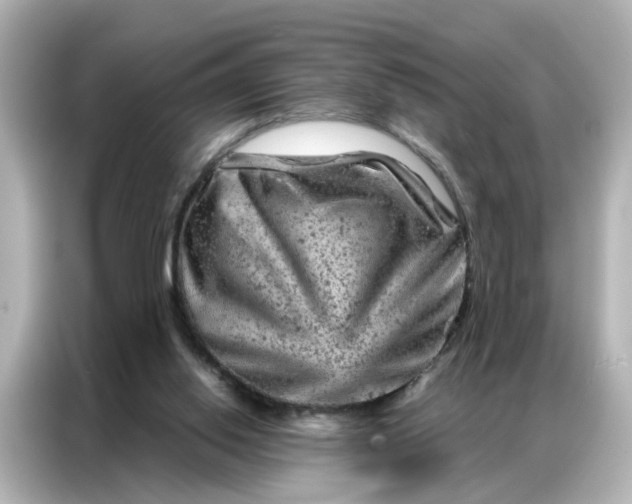 X0000087000062200704301406