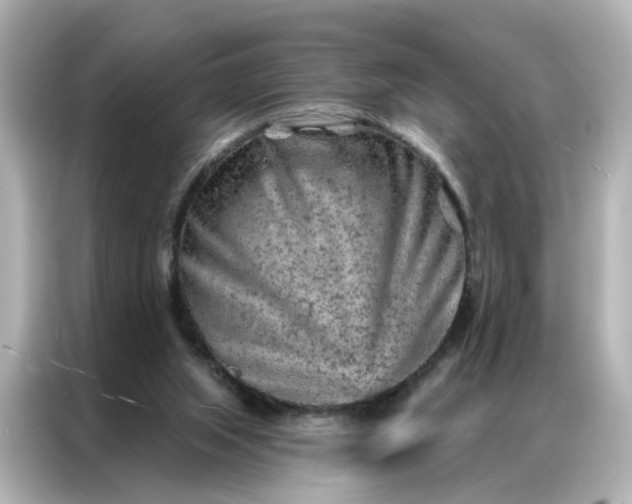 X0000087000063200704301406