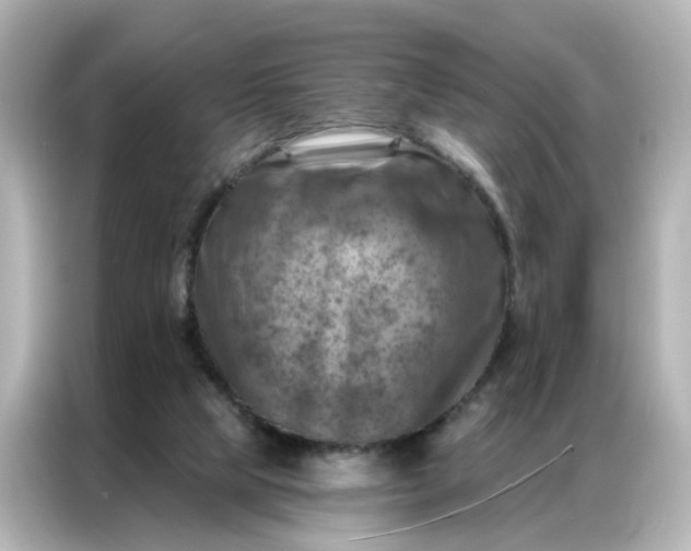 X0000087000065200704301406