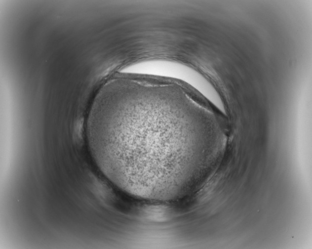 X0000087000066200704301406