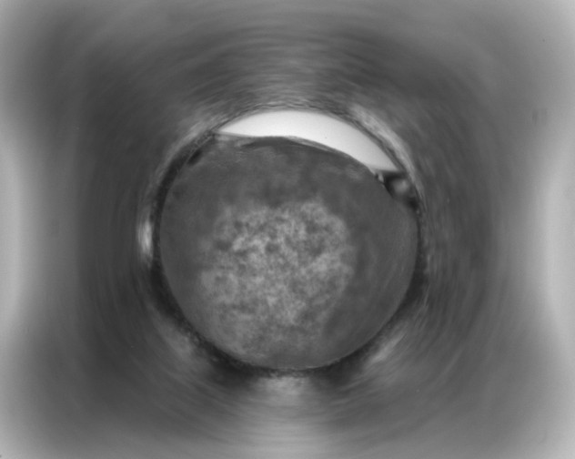 X0000087000067200704301406