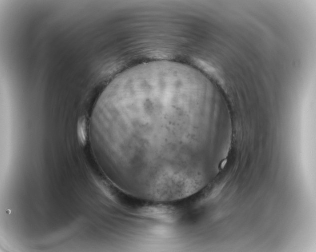 X0000087000069200704301406