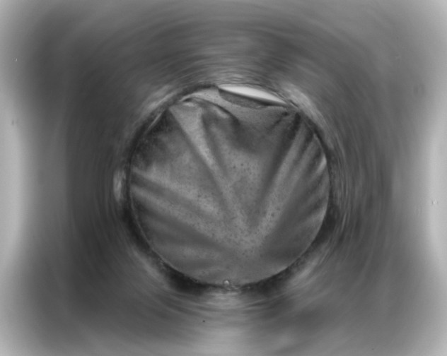 X0000087000071200704301406