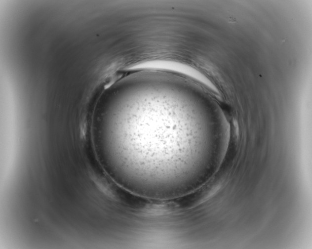 X0000087000072200704301406