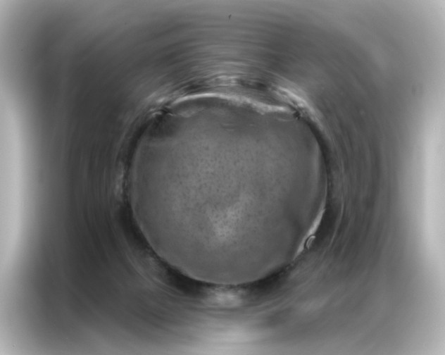 X0000087000073200704301406