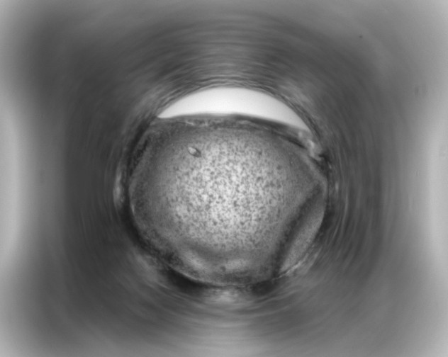 X0000087000074200704301406