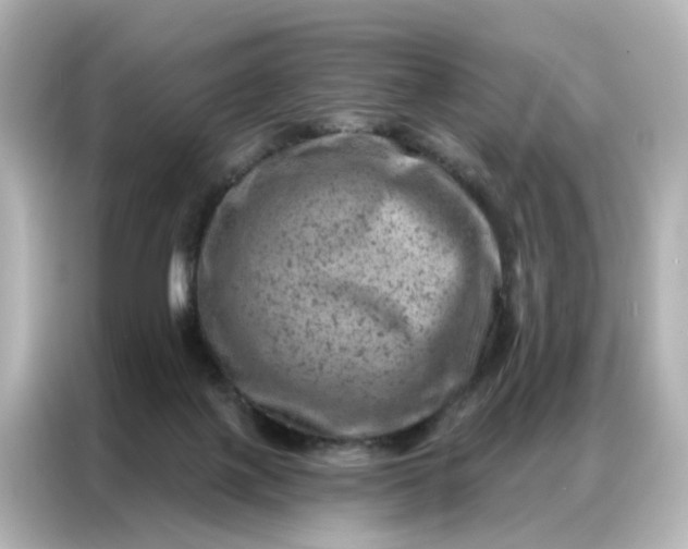 X0000087000075200704301406