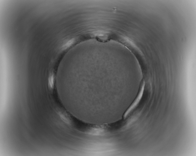 X0000087000076200704301406