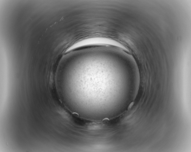 X0000087000077200704301406