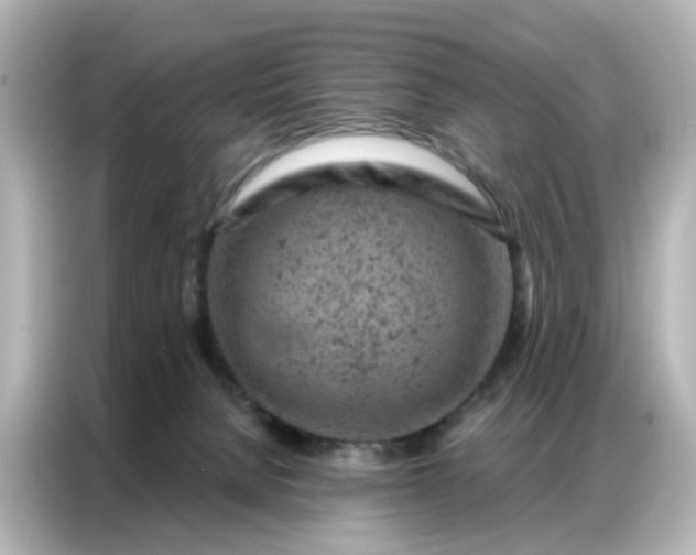 X0000087000080200704301406