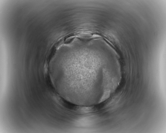 X0000087000081200704301406