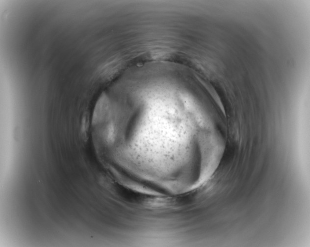 X0000087000082200704301406