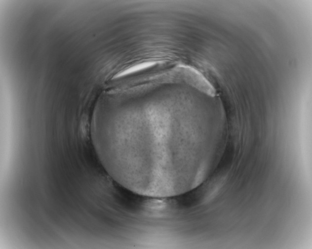 X0000087000083200704301406