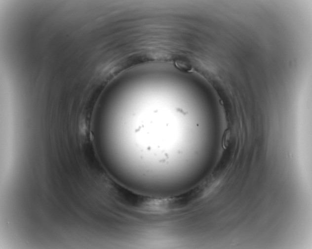 X0000087000084200704301406