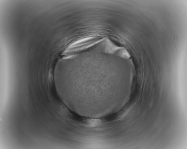 X0000087000085200704301406