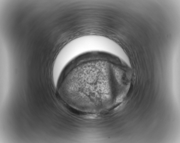 X0000087000086200704301406