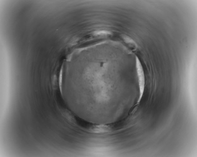 X0000087000087200704301406