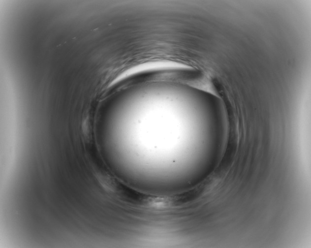 X0000087000088200704301406