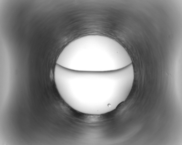 X0000087000089200704301406